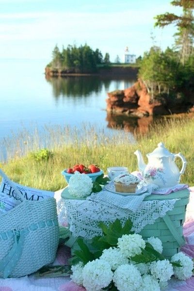 Picnic 3