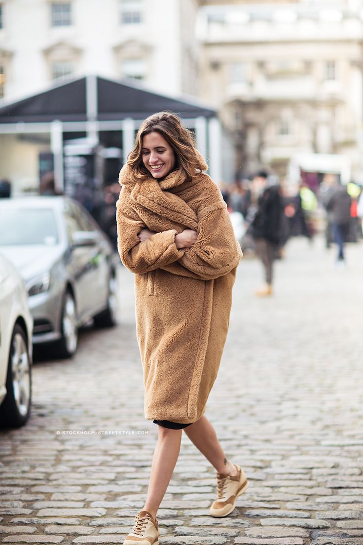 calvin klein teddy bear jacket